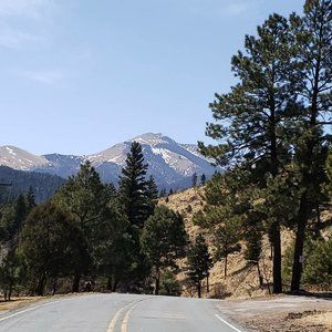 Meet your Posher, Diana